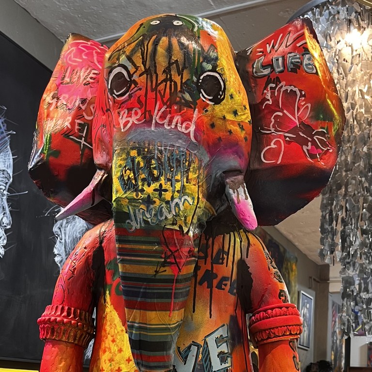 Indlovu e-pinki by Elaine Janse van Rensburg