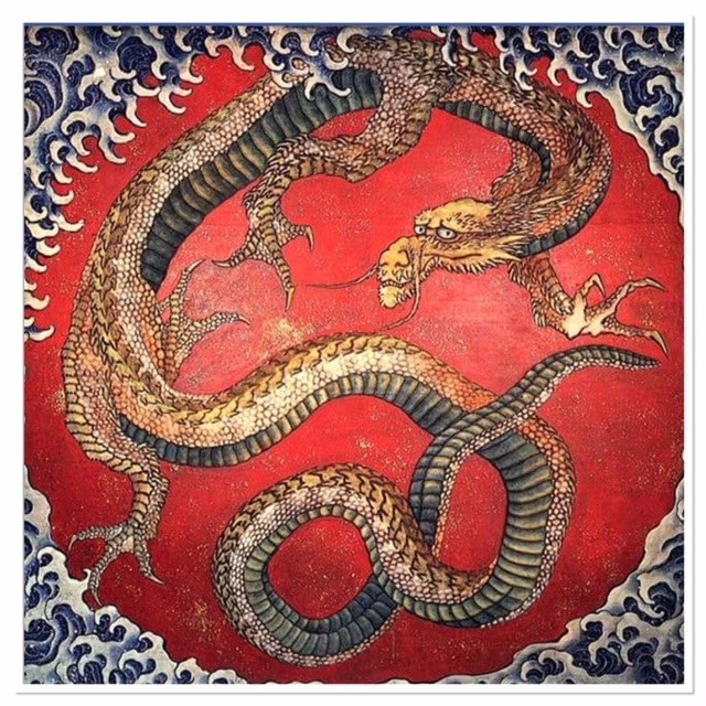 A dragon image